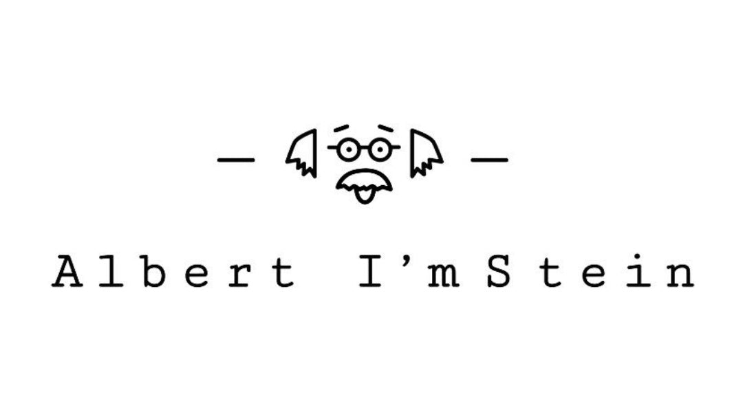 ALBERT IMSTEIN