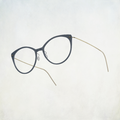 LINDBERG N.O.W. 6564
